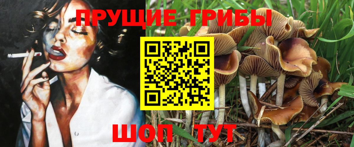 где продают наркотики  Вход с VPN  Южно-Сахалинск  Псилоцибиновые грибы Psilocybine cubensis 