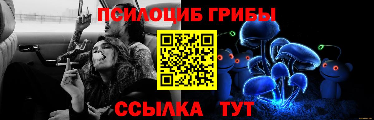 Галлюциногенные грибы Magic Shrooms Южно-Сахалинск