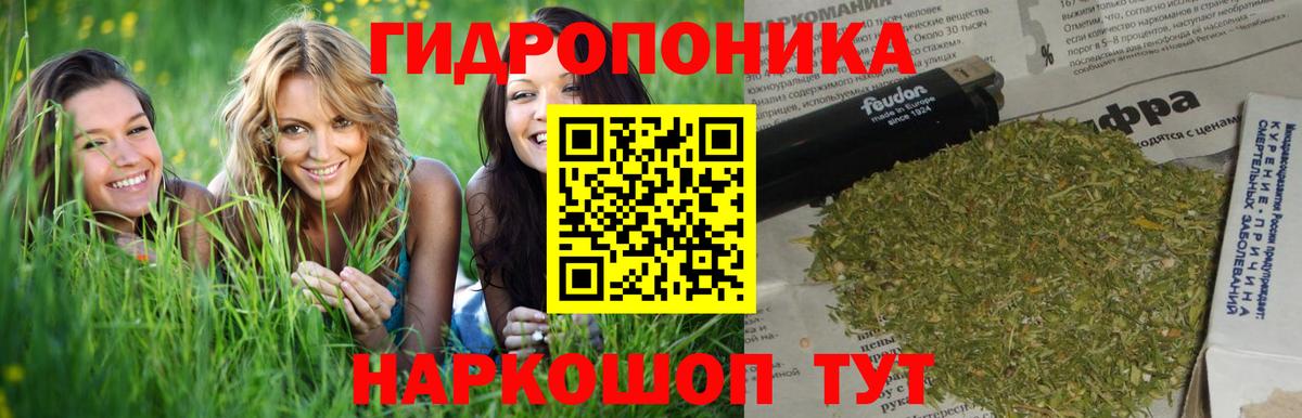 Конопля тримм  МАРИХУАНА Amnesia  Вход с VPN  Южно-Сахалинск  Канабис план 